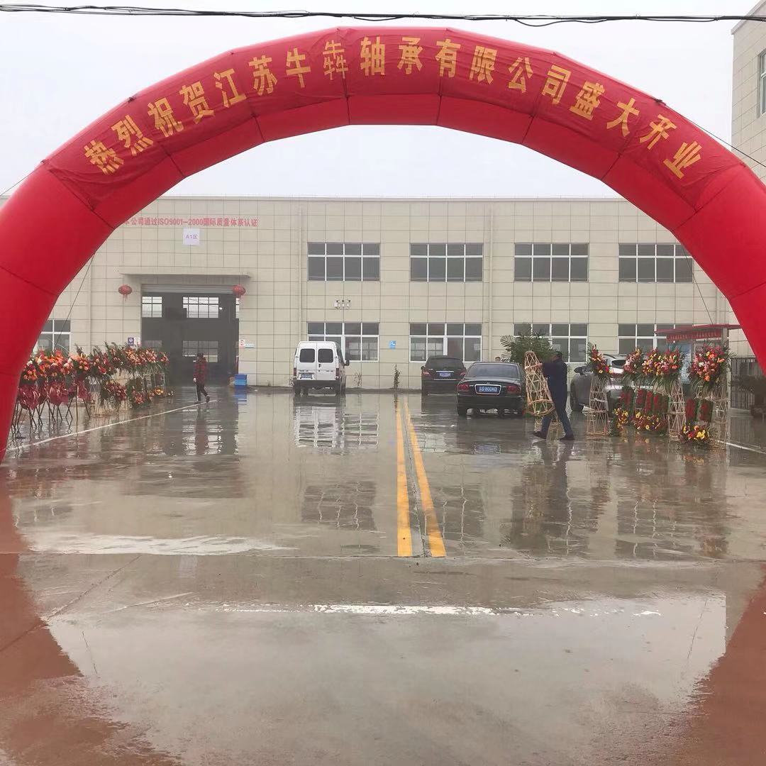 Jiangsu Niu Ben Bearing Co.,Ltd. new factory put into production