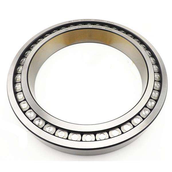 What's single row full complement cylindrical roller bearing?